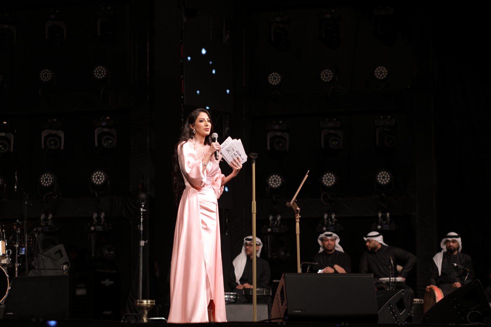 Music Concert (2)